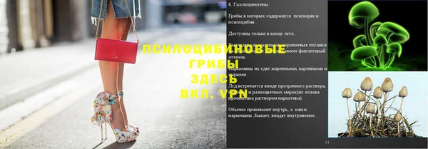 твердый Армянск