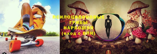 твердый Армянск