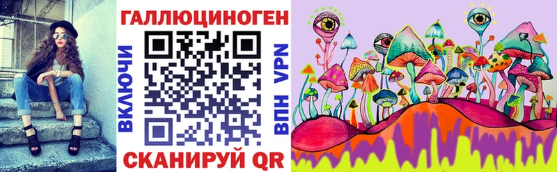 купить наркотик Кадников Псилоцибиновые грибы Cubensis